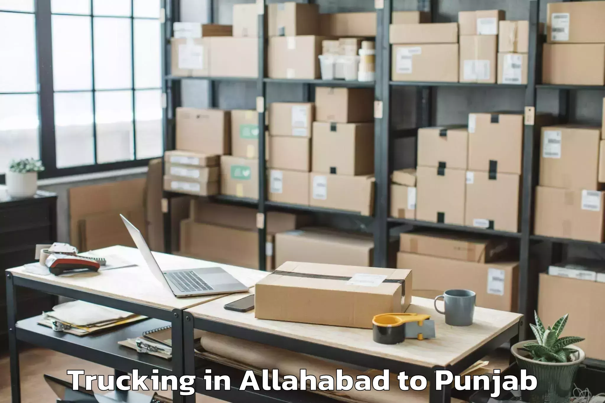 Book Allahabad to Barnala Trucking Online